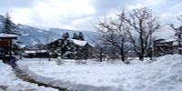 Manali Tour Packages from delhi by volvo